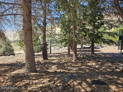 2026 Masonic Drive, Gardnerville, NV 89410 Photo