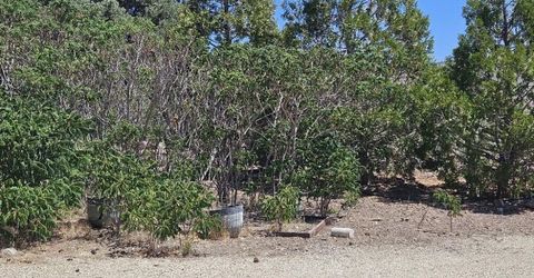 2026 Masonic Drive, Gardnerville, NV 89410 Photo