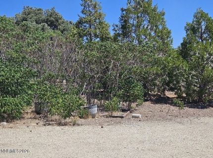 2026 Masonic Drive, Gardnerville, NV 89410 Photo