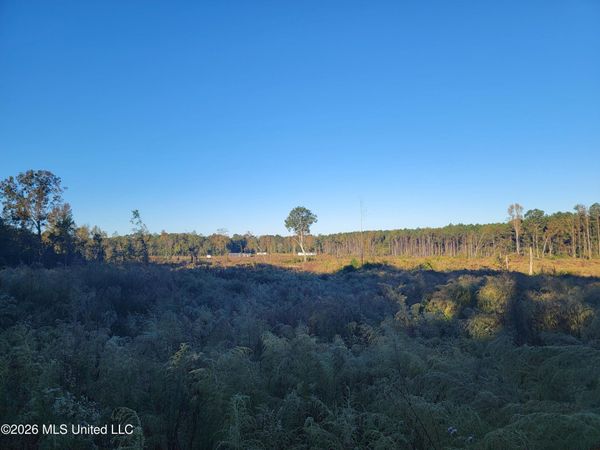 Haralson Lane, Forest, MS 39074