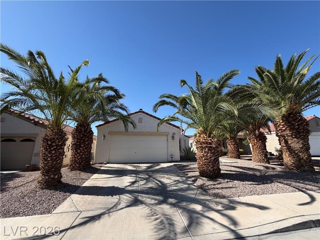 705 Salt Flats Circle Henderson, NV 