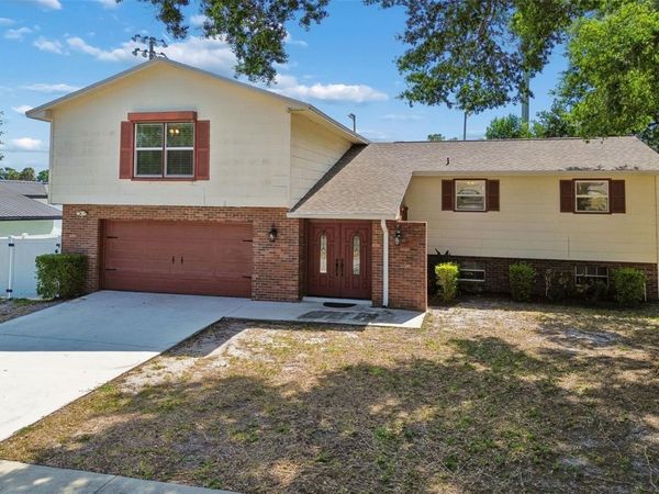 2620 GIANT PLACE , SEFFNER, FL 33584