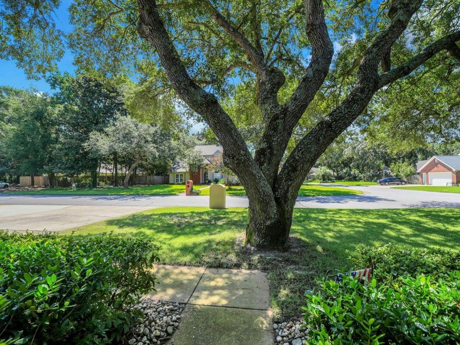 Property Image 46