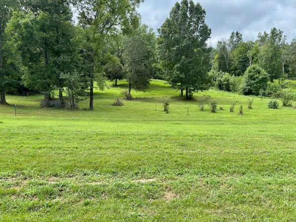 564 Dry Branch Road, Unit 3, Dixon Springs, TN 37057