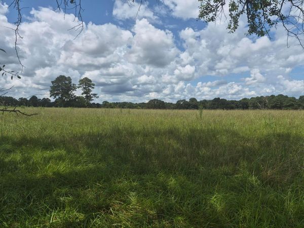 0 COUNTY ROAD 1583, Cullman, AL 35058