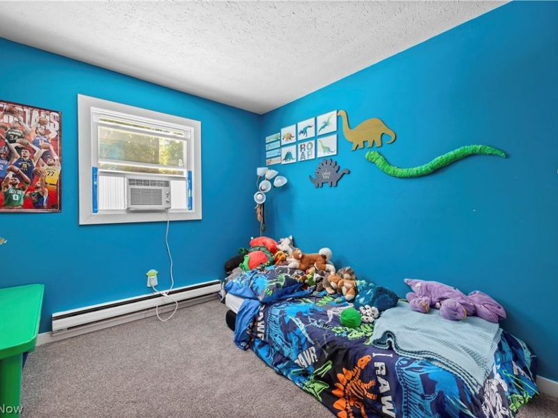 3902 Oxford Drive, Lorain, OH 44053 Photo 25