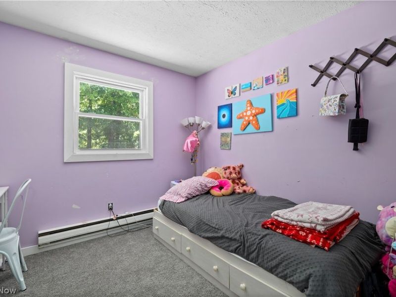 3902 Oxford Drive, Lorain, OH 44053 Photo 27