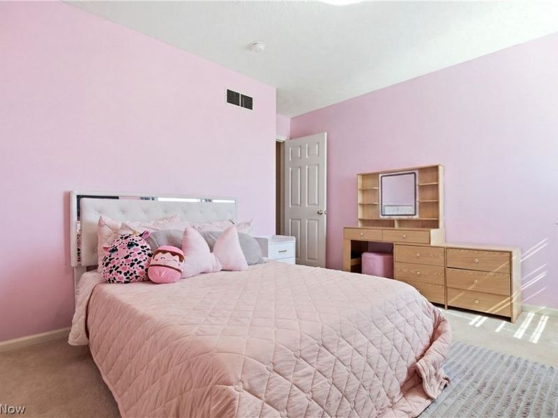 8913 Isabelle Lane, Macedonia, OH 44056 Photo 20