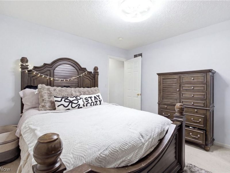 8913 Isabelle Lane, Macedonia, OH 44056 Photo 21