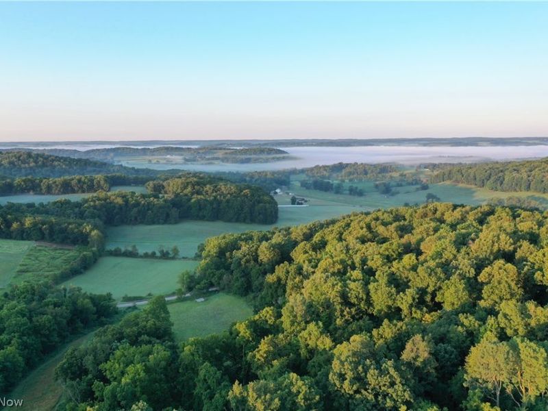 Co. Rd. 2575, Loudonville, OH 44842 Photo 10