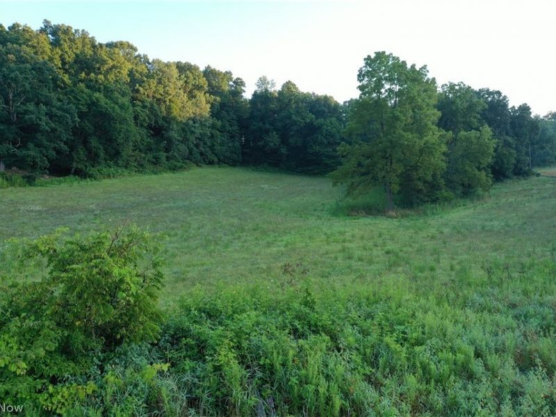 Co. Rd. 2575, Loudonville, OH 44842 Photo 12