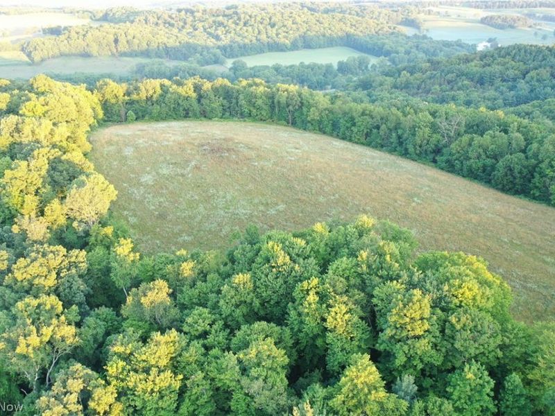 Co. Rd. 2575, Loudonville, OH 44842 Photo 13