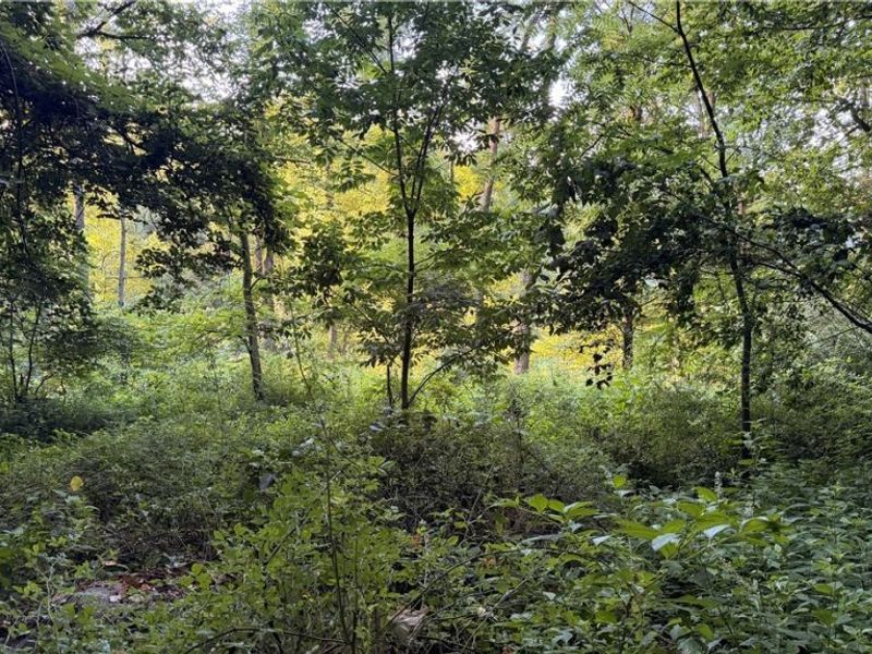 Co. Rd. 2575, Loudonville, OH 44842 Photo 15