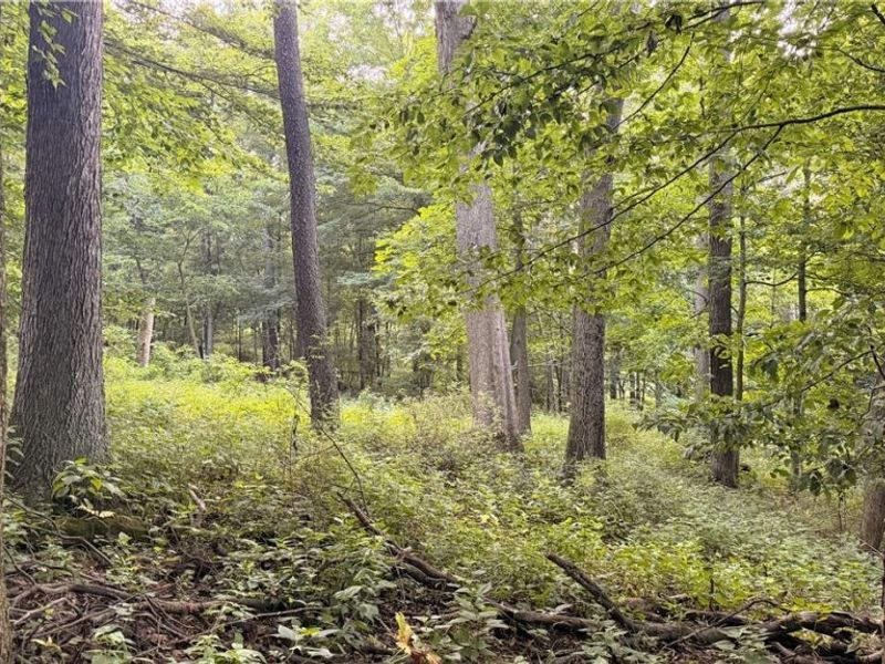 Co. Rd. 2575, Loudonville, OH 44842 Photo 18