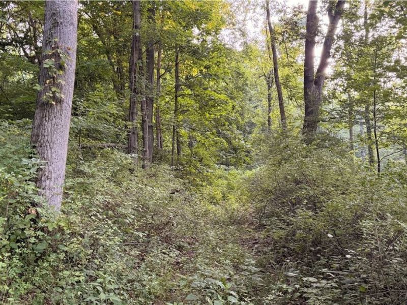 Co. Rd. 2575, Loudonville, OH 44842 Photo 19
