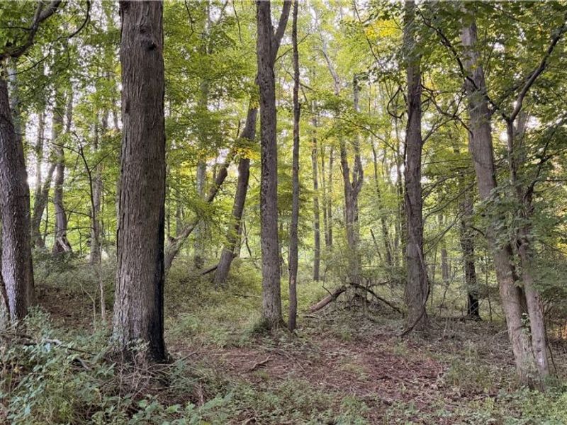 Co. Rd. 2575, Loudonville, OH 44842 Photo 20