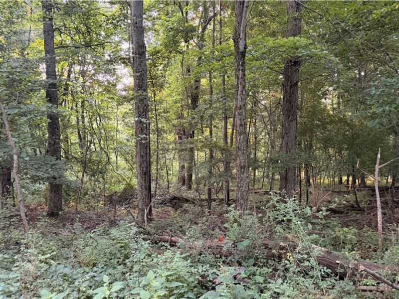 Co. Rd. 2575, Loudonville, OH 44842 Photo 21