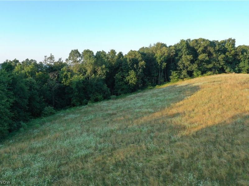 Co. Rd. 2575, Loudonville, OH 44842 Photo 22