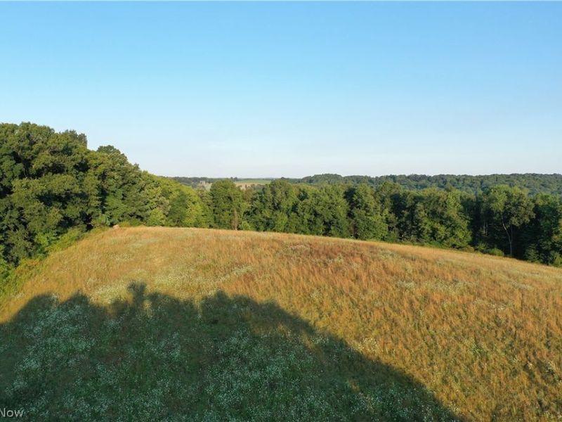 Co. Rd. 2575, Loudonville, OH 44842 Photo 23