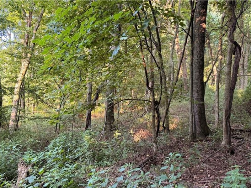 Co. Rd. 2575, Loudonville, OH 44842 Photo 25
