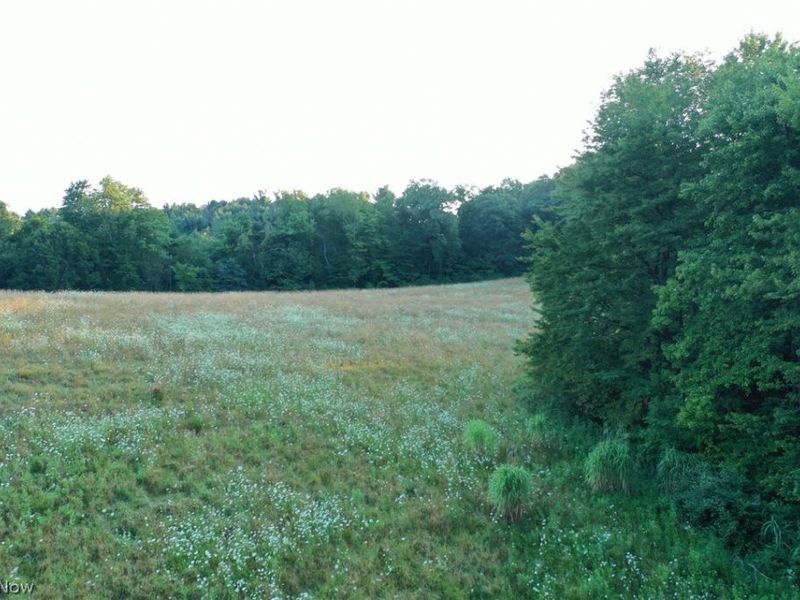 Co. Rd. 2575, Loudonville, OH 44842 Photo 26