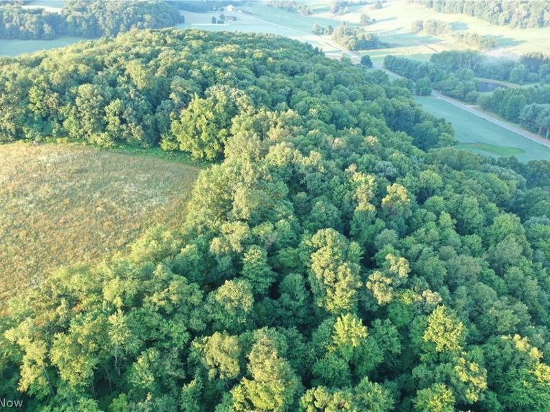 Co. Rd. 2575, Loudonville, OH 44842 Photo 3