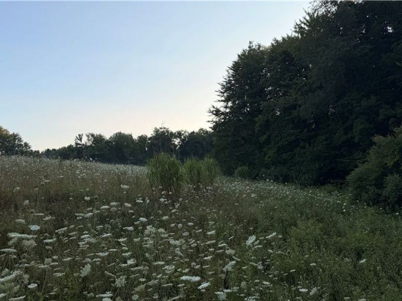 Co. Rd. 2575, Loudonville, OH 44842 Photo 30