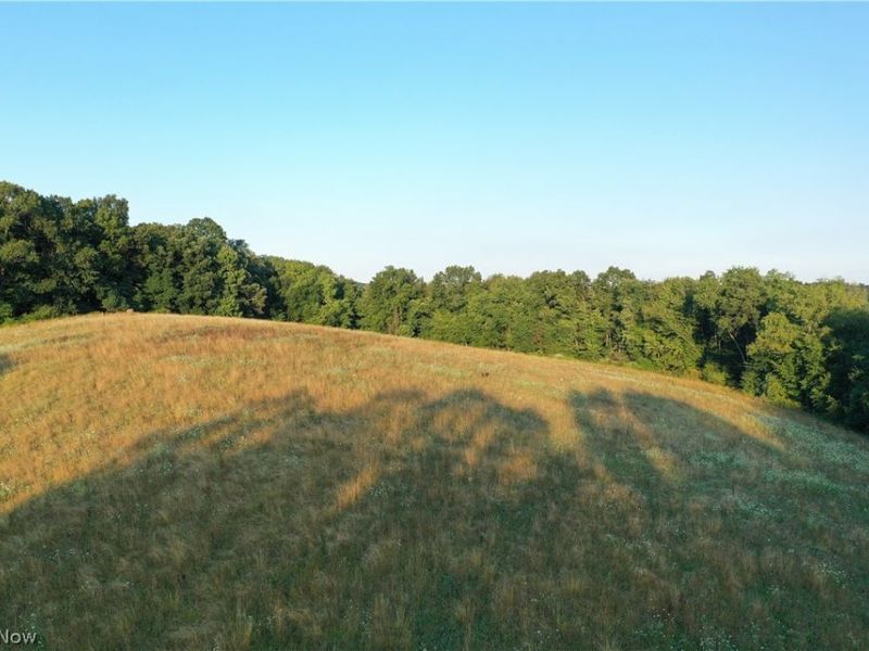 Co. Rd. 2575, Loudonville, OH 44842 Photo 31