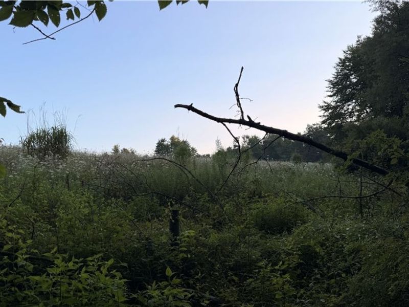 Co. Rd. 2575, Loudonville, OH 44842 Photo 35