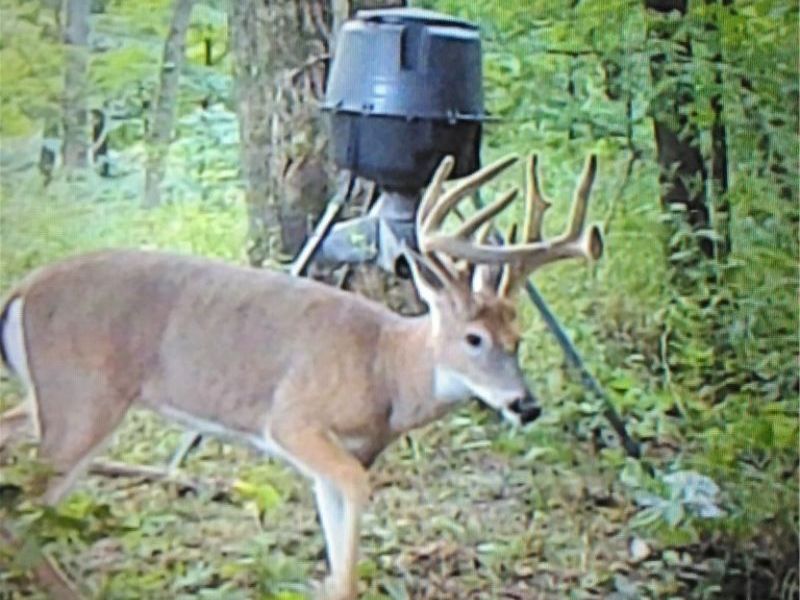 Co. Rd. 2575, Loudonville, OH 44842 Photo 37