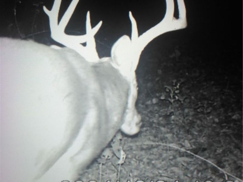 Co. Rd. 2575, Loudonville, OH 44842 Photo 41