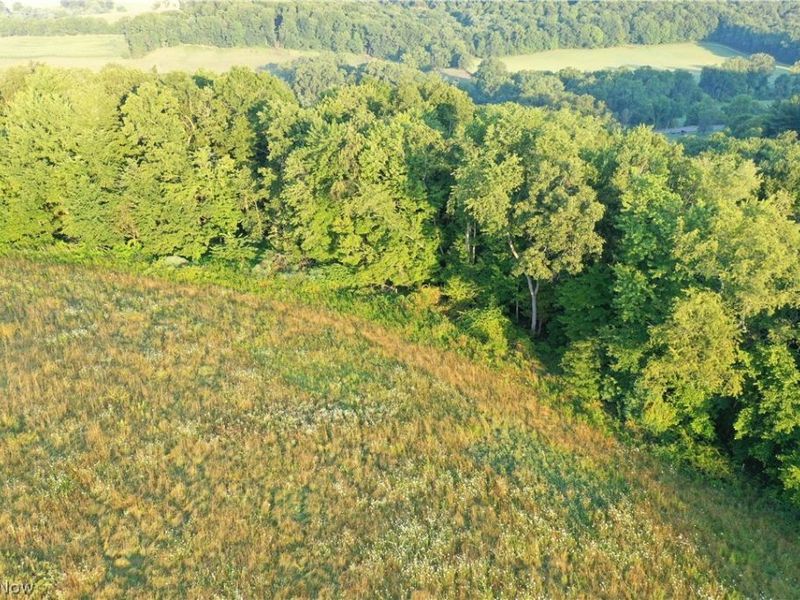Co. Rd. 2575, Loudonville, OH 44842 Photo 7