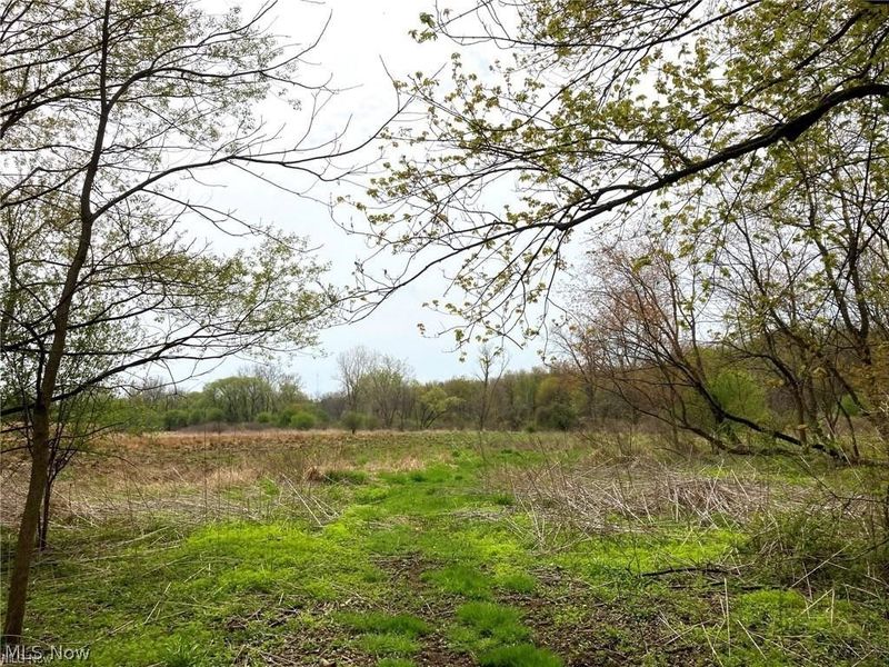V/L Schocalog Road, Copley, OH 44320 Photo 1