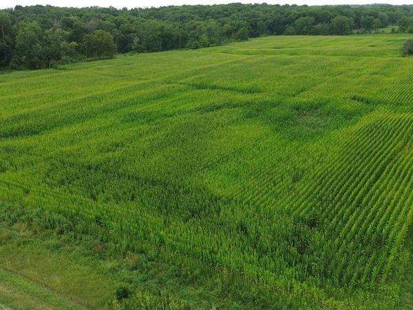 21 Acres Timber Avenue, Bloomfield, IA 52537