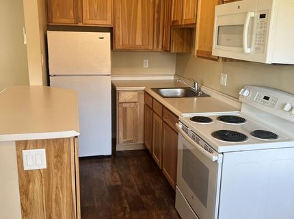 357 Roberts Street, Reno, NV 89502 Photo