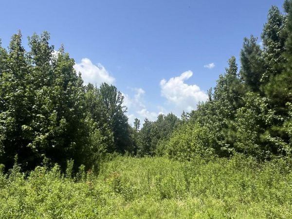 Burton Road, Senatobia, MS 38668