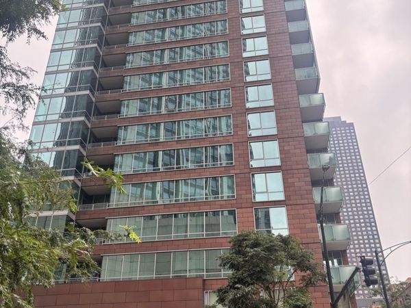 505 N McClurg Court , Unit 204, Chicago, IL 60611
