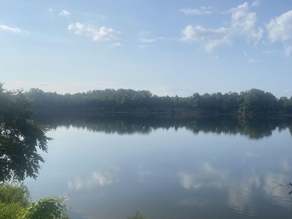 106 SANDY LN, Crump, TN 38327