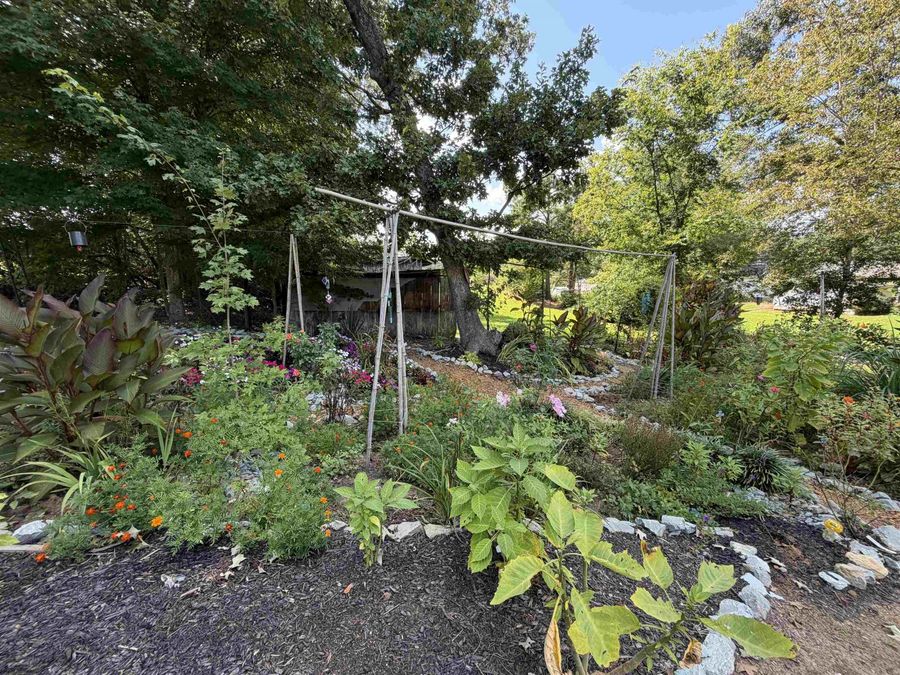 Property Image 32