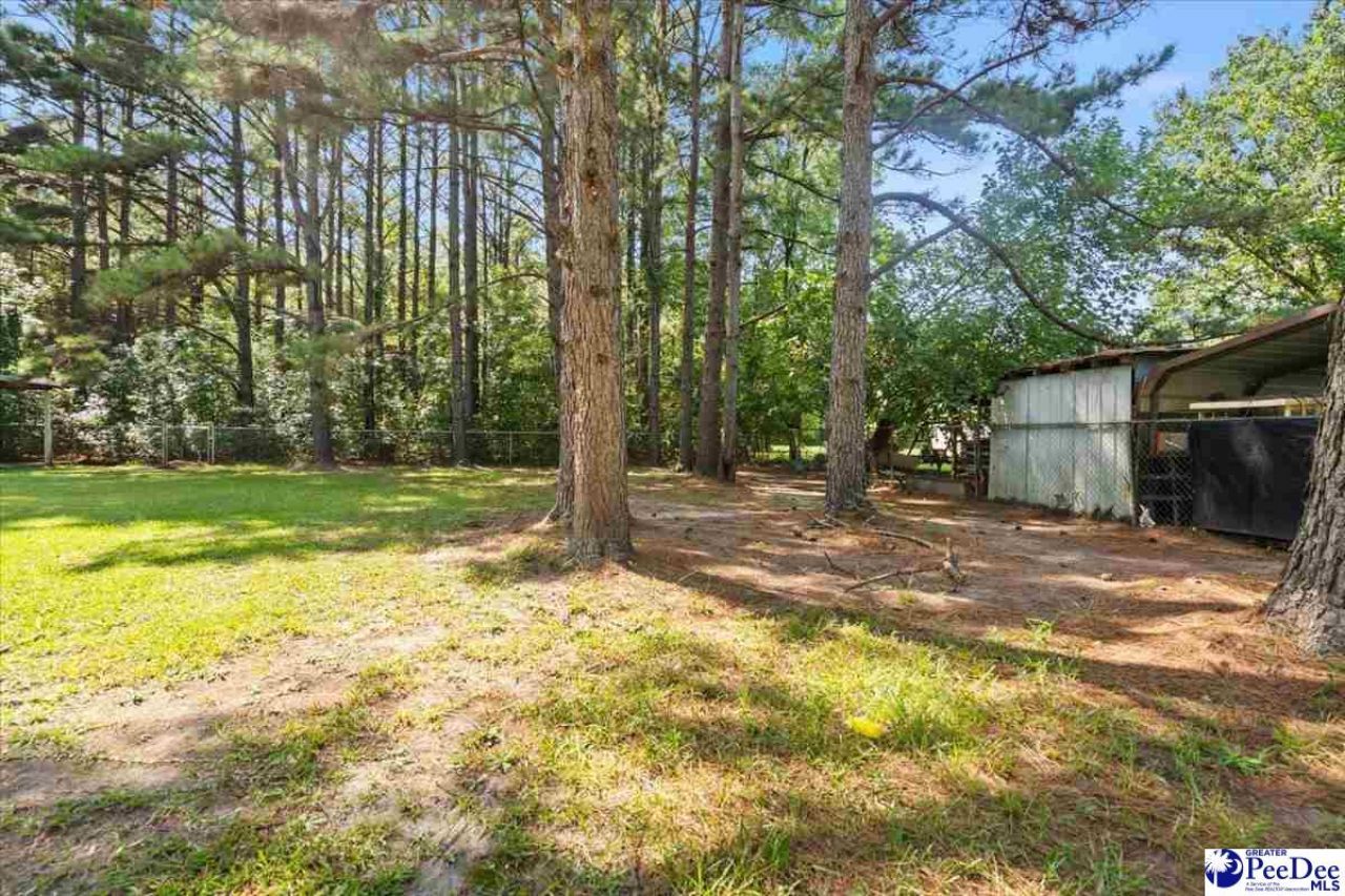 4448 Charlie Cade Road Photo 14