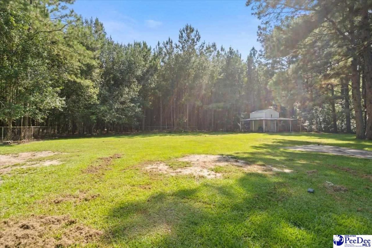 4448 Charlie Cade Road Photo 17