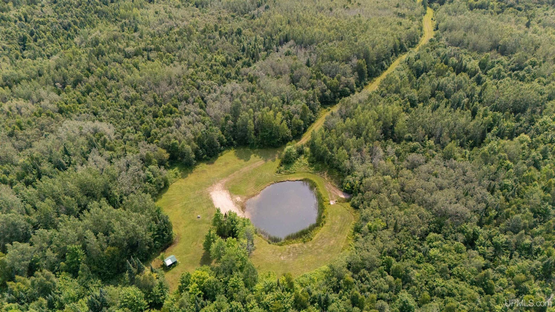 35 Acres Townline Road, Doyle Twp, MI 49840 Main Photo