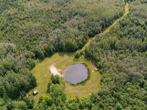 35 Acres Townline Road, Doyle Twp, MI 49840