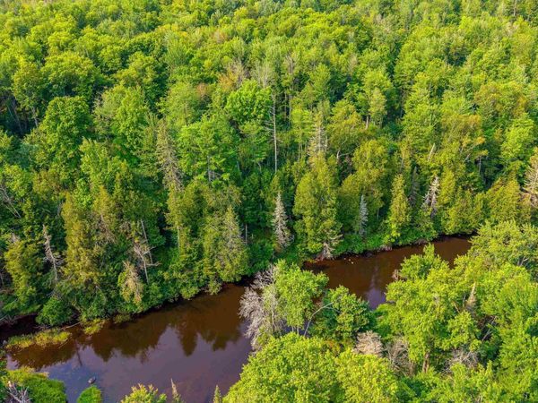 18 Acres Off Bobs Creek Truck Trail, Forsyth Twp, MI 49841