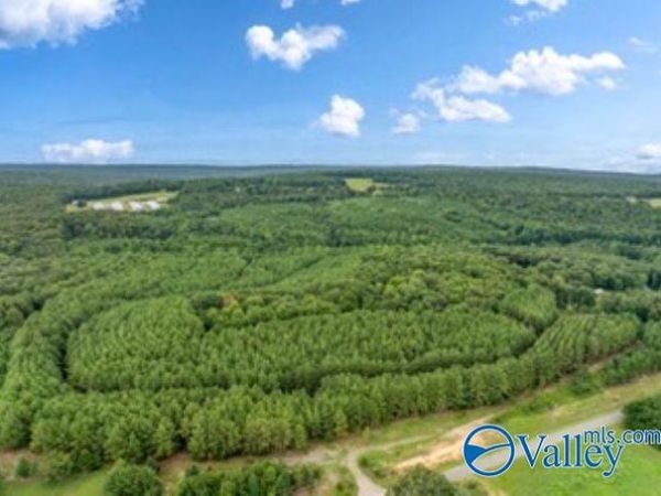 110 Acres Fischer Road, Fort Payne, AL 35967