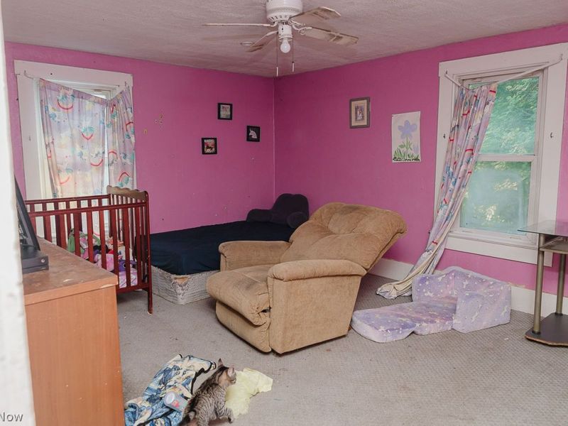 135 Morton Street, Lisbon, OH 44432 Photo 15