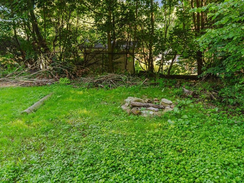 135 Morton Street, Lisbon, OH 44432 Photo 6