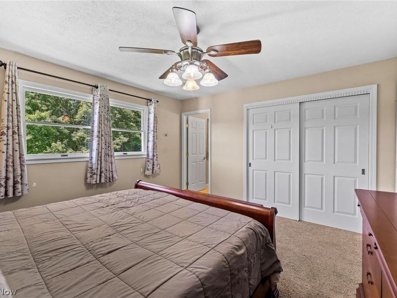 3755 Lyntz Townline Road SW, Lordstown, OH 44481 Photo 17