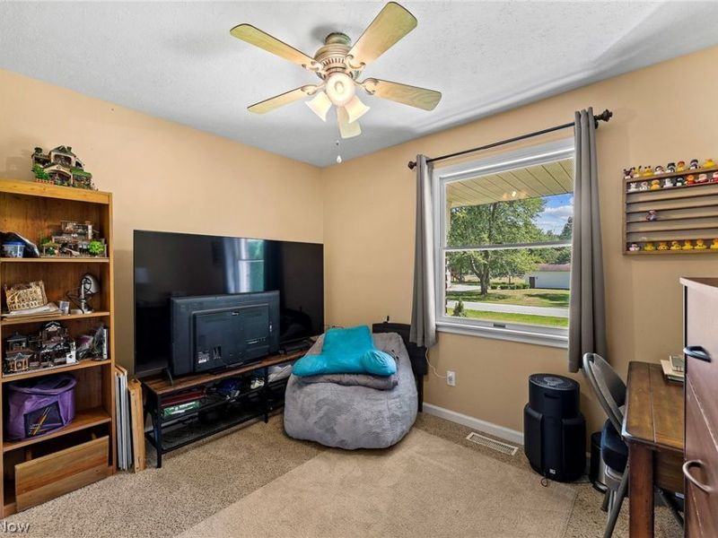 3755 Lyntz Townline Road SW, Lordstown, OH 44481 Photo 20
