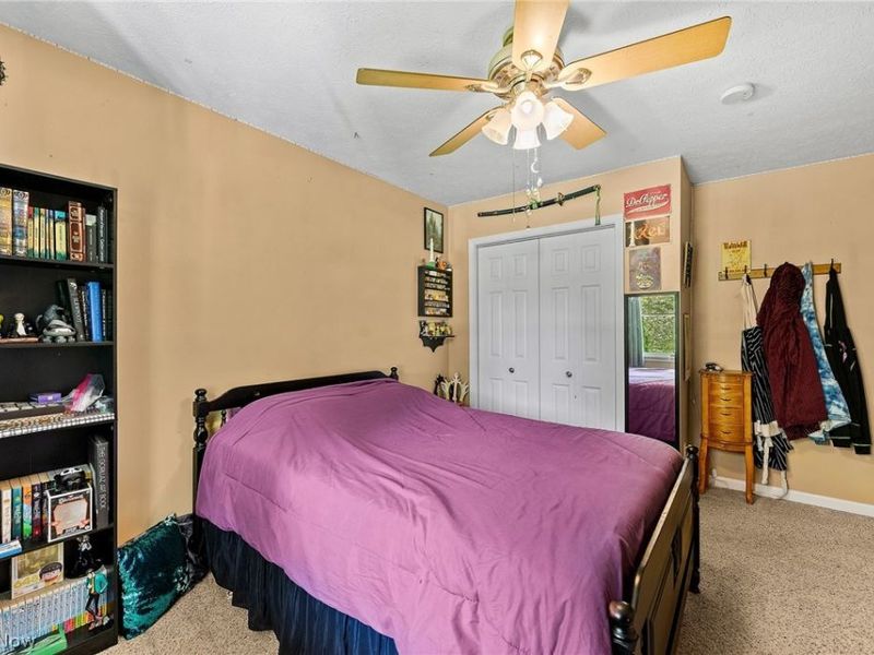 3755 Lyntz Townline Road SW, Lordstown, OH 44481 Photo 21